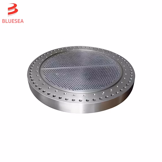 Low Price CuNi 9010 Cupronickel Steel Clad Metal Plate Tubesheet